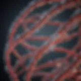 Detailed analysis of the GLA gene structure