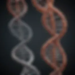 Visual representation of the DNA double helix structure
