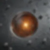Illustration depicting intergranular corrosion in stainless steel
