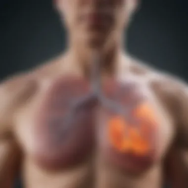 Lung Diagram Illustrating COPD Effects Illustration depicting a lung diagram highlighting COPD effects