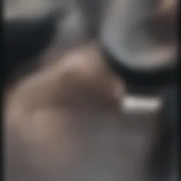 A close-up view of a bite mark on skin, illustrating the biological context of transmission.