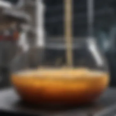 Fermentation Dynamics Fermentation process showcasing yeast activity