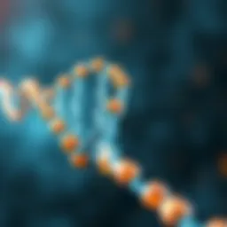Molecular structure of DNA highlighting genetic information