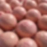 A detailed diagram illustrating the various types of breast cancer and their characteristics