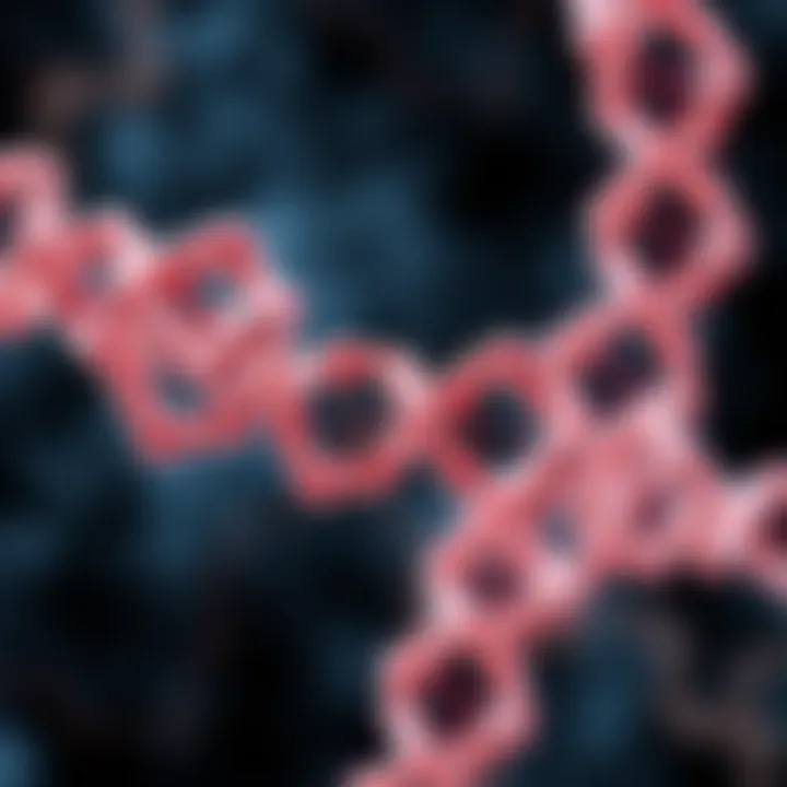 Visual representation of translation and ribosomal activity