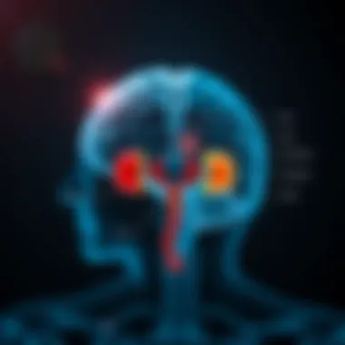 The HPA Axis Explained Illustration depicting the HPA axis and its components