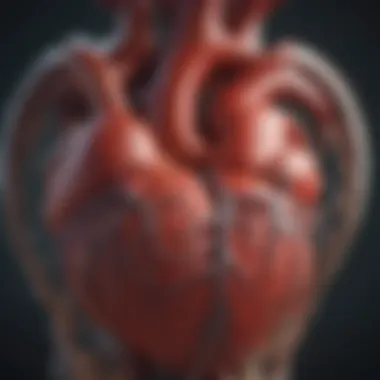 Visual representation of diagnostic techniques for heart conditions