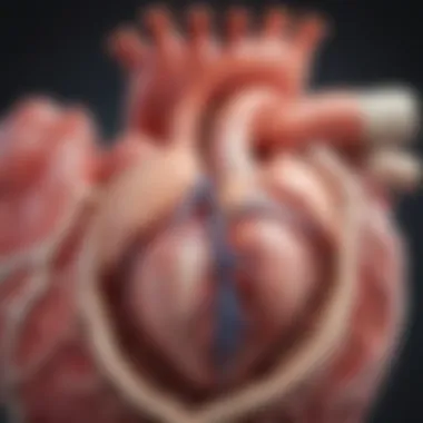 Anatomy and Function of Heart Valves Illustration of heart valves anatomy and function