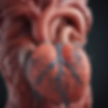 Pathophysiology of Valvular Heart Disease Diagram illustrating pathophysiology of valvular heart disease