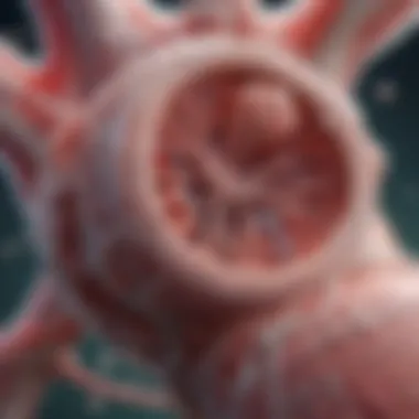 Biological Mechanisms of Vascular Calcification Illustration depicting the biological mechanisms of vascular calcification