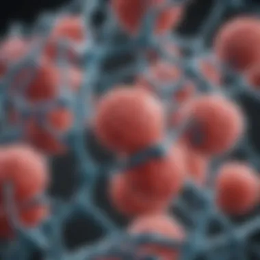 Molecular Structure of Urease Enzyme Illustration of urease enzyme structure