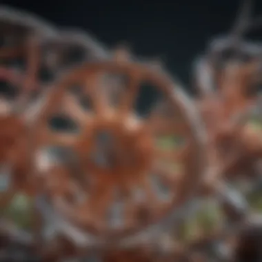 Mechanism of Urease in the Nitrogen Cycle Urease mechanism in nitrogen cycle