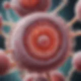 Microscopic view of Trichomonas vaginalis