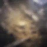 Immersive VR environment showcasing data visualization