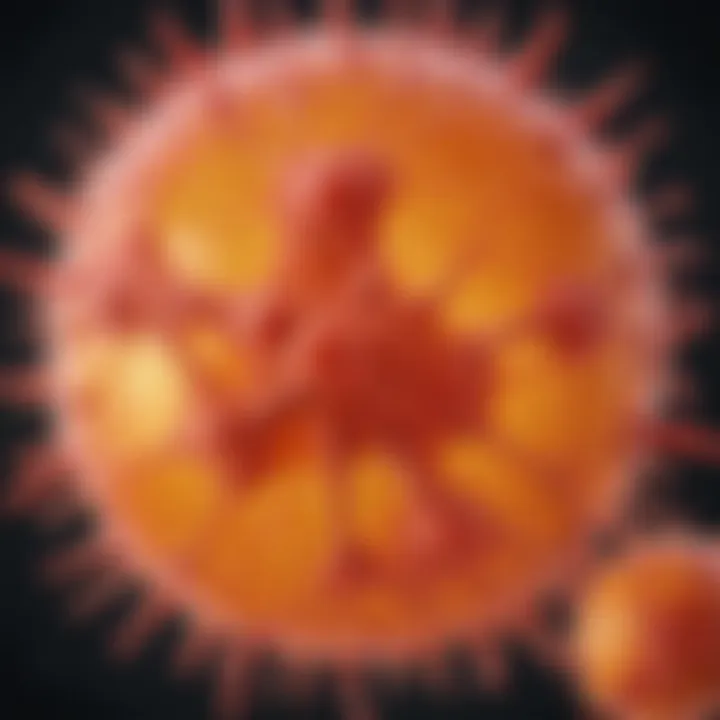 Graph depicting vitamin C's influence on cancer cells