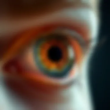 Visual representation of ocular surface health