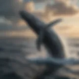 A majestic whale breaching the ocean surface