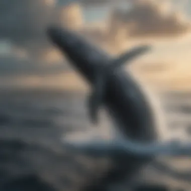 A majestic whale breaching the ocean surface