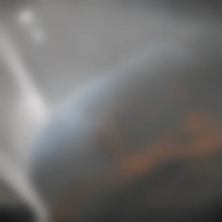 Artistic representation of whale conservation efforts