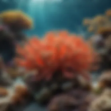 Biodiversity of Coral Reefs and Their Significance Vibrant coral reef teeming with life
